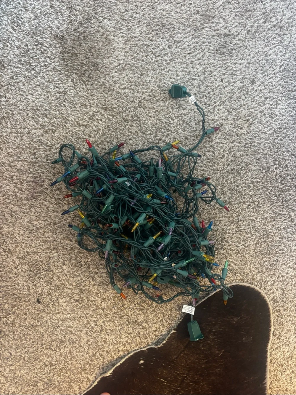 Multicolor Mini LED Holiday String Lights on Green Cord